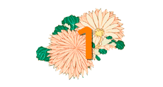 Best Place to Learn Chinese Online Best Place to Learn Chinese Online
