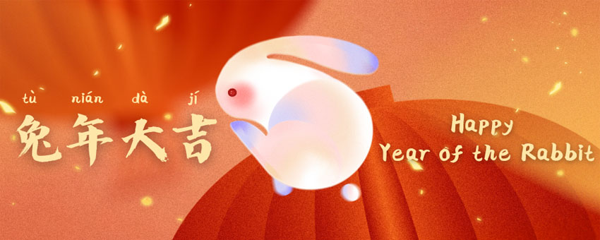 rabbit---1.jpg rabbit---1.jpg