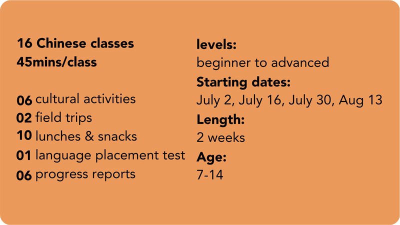 Day_Camp-1.png