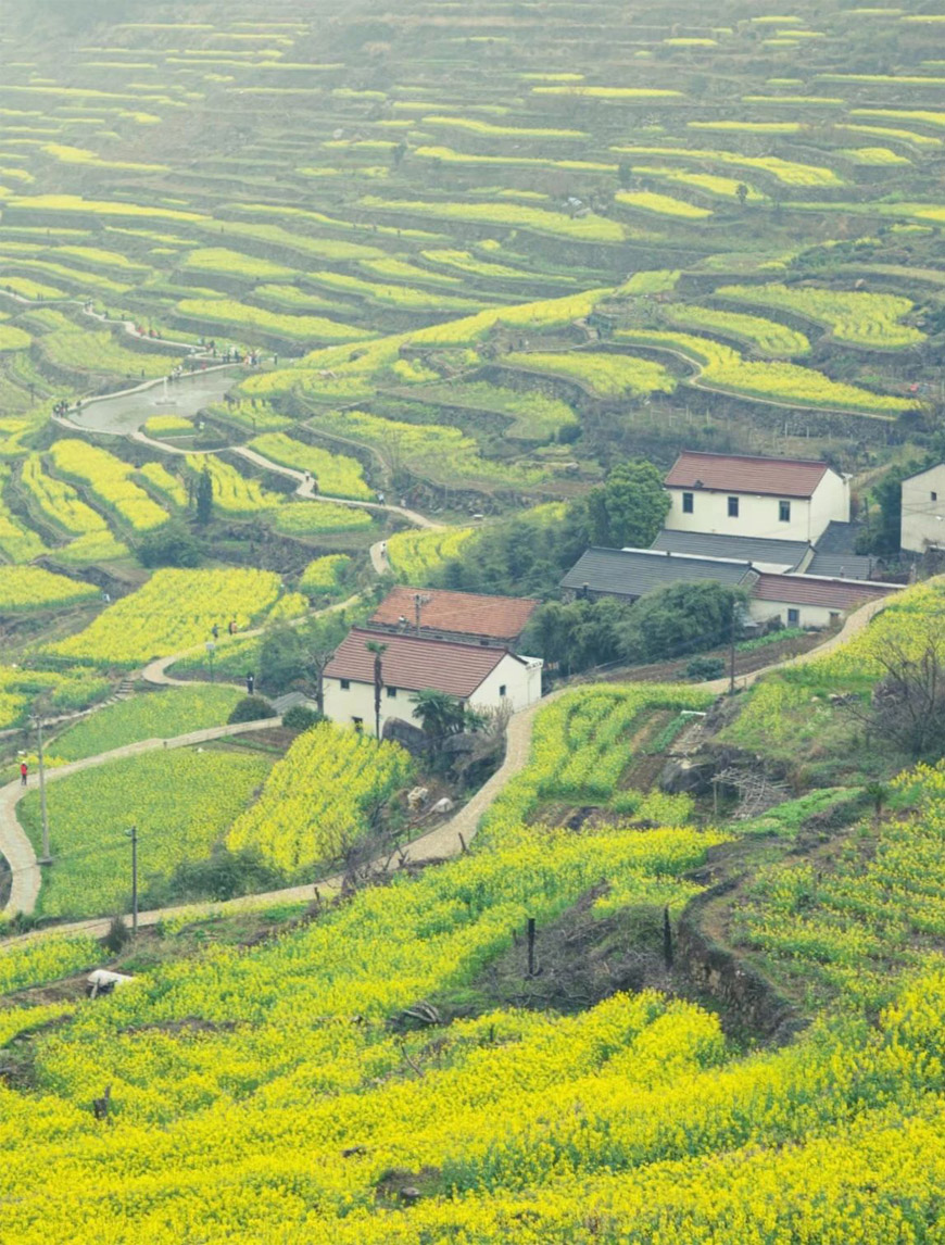 Fuzhi_Mountain,_Zhejiang-4.jpg